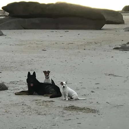 Homestay Manoir De Kerozet - - 3 Chiens